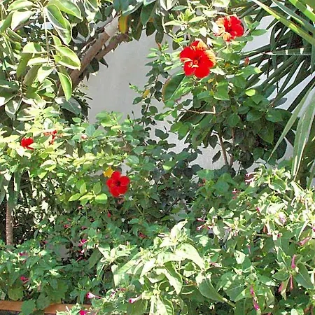 Matina Hotel 3*